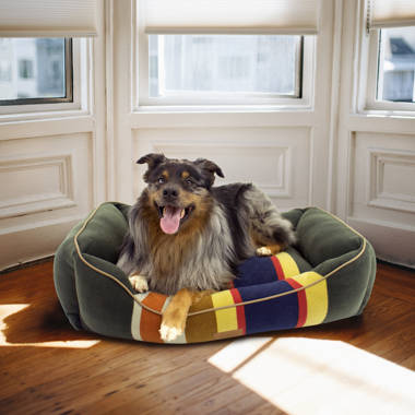 Carolina pet company bolster bed sale